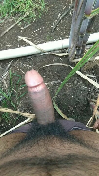 Dios mío 7458 mostrando su pene erecto