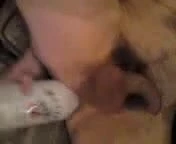 Получаешь заполненный