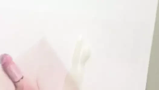 Zara haraç
