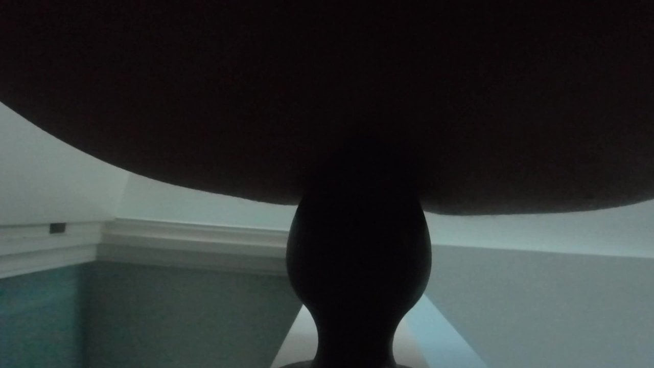 Sissy plug