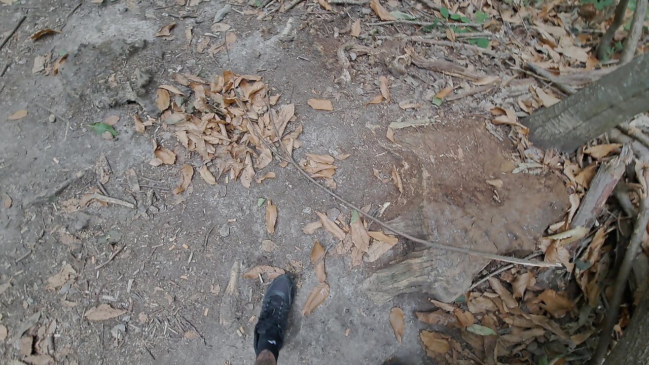 Public exposure of my big cock in a parking lot and the woods