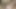 cum joi için büyük booty anal MİLF sürtük