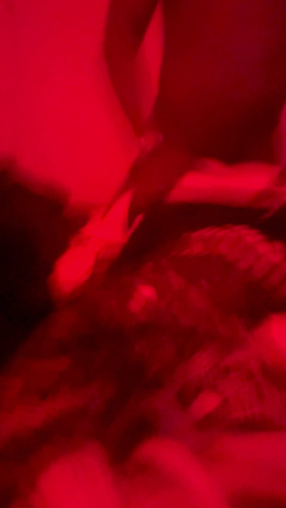 BBC fucks White Sissy Fem Trapp bitch