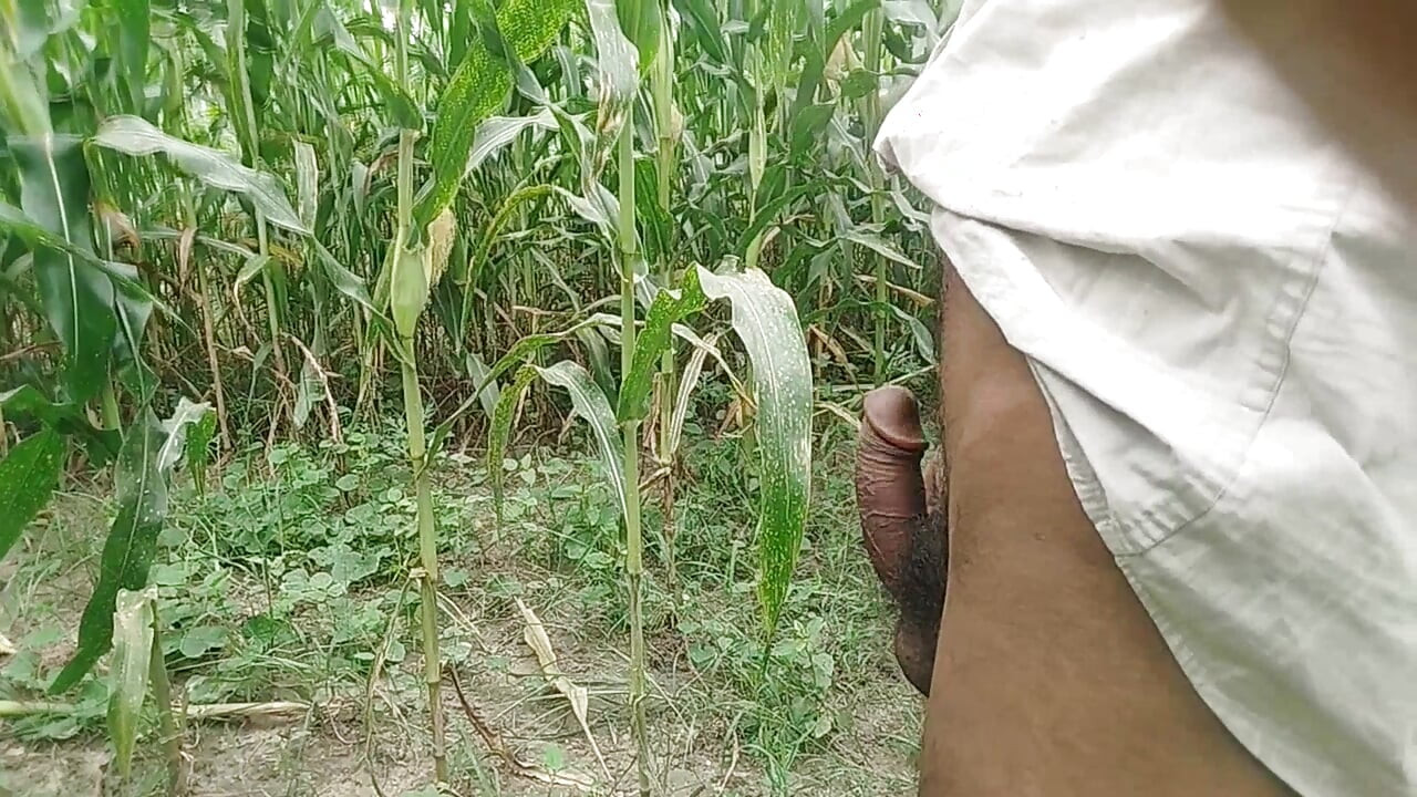 Forest outdoor fuking yang boy big cock