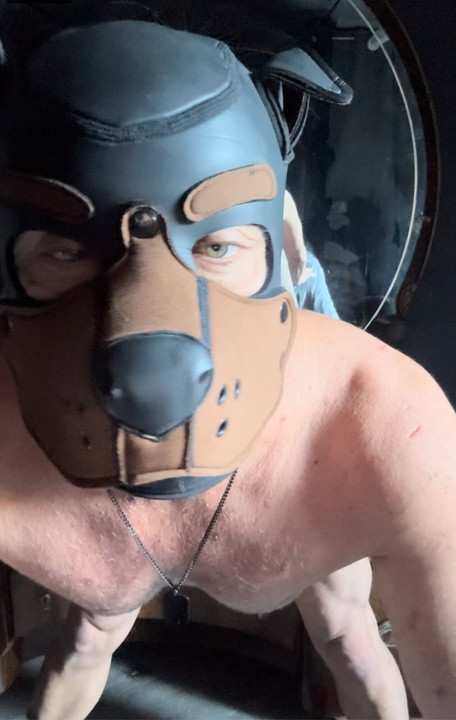 Lonely puppy