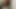 従順な妻が赤いTバックで四つにして愛おう