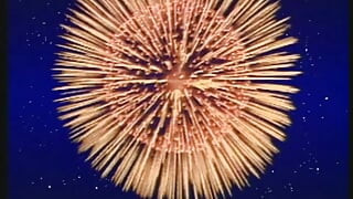 DEUTSCHLAND PORNO TV - our best full movie