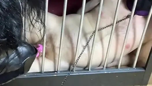 Temptation, Frustration and Resistance...