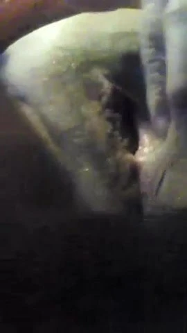 Nagyi orgazmusig dörzsöli a nagy csiklóját