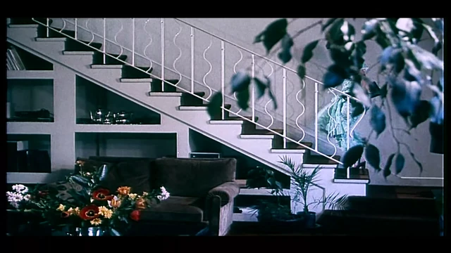 La Perversion D une Jeune Mariee - 4K Restoration (2 Of 2)