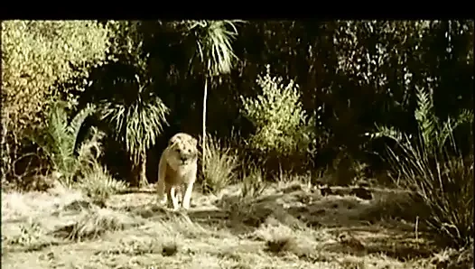 Asia loves big dick in hairy pussy in ass