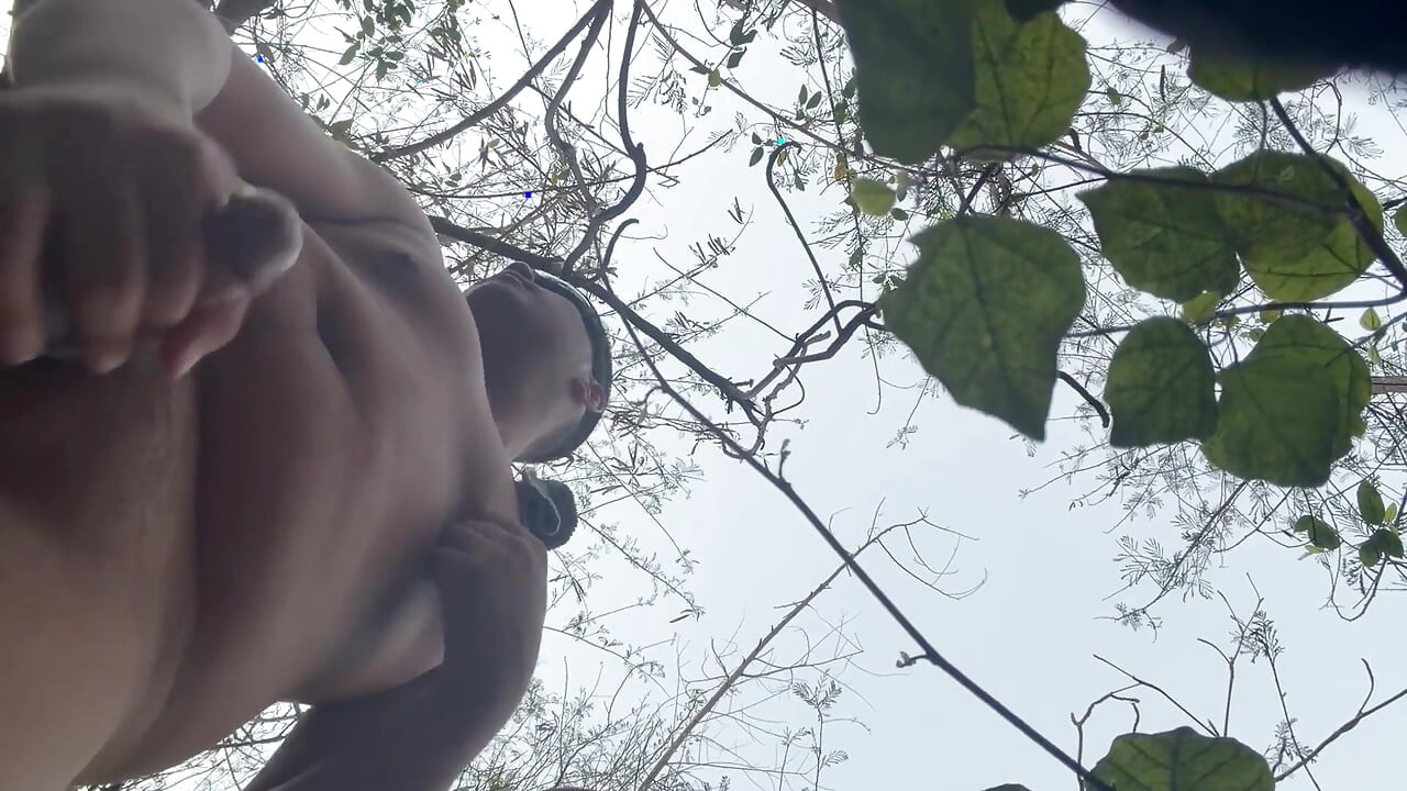 Chinese Bear