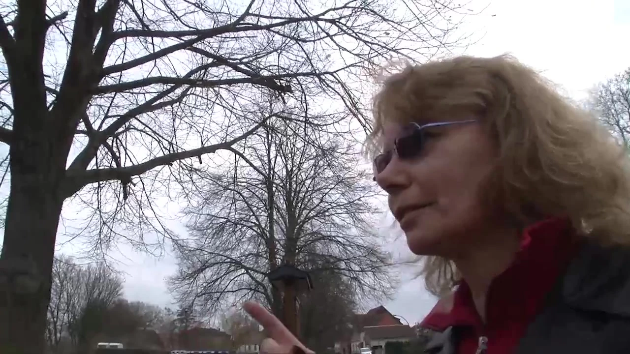 Mature Bitch Needs More Sex (Muschi Movies - The Original)