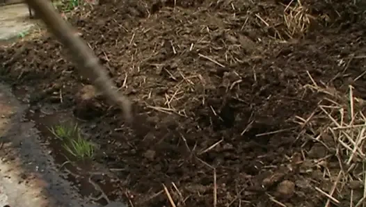 Связанная Блондинка Подчиняется Интенсивному Бдсм-тройничку