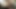 Silicone Doll Fucked by Latexdoll (No Cum)