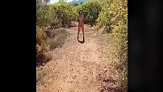 Tree porn video – Naked Woman Tied to Tree, Story