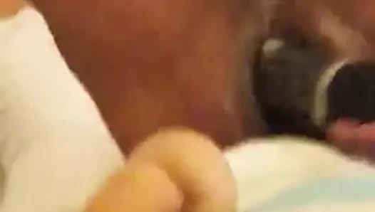 Burada cums the bbc