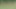 Several twinks exercise all-naked by the campsite