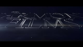Harmony Vision