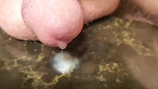 Prostate cum