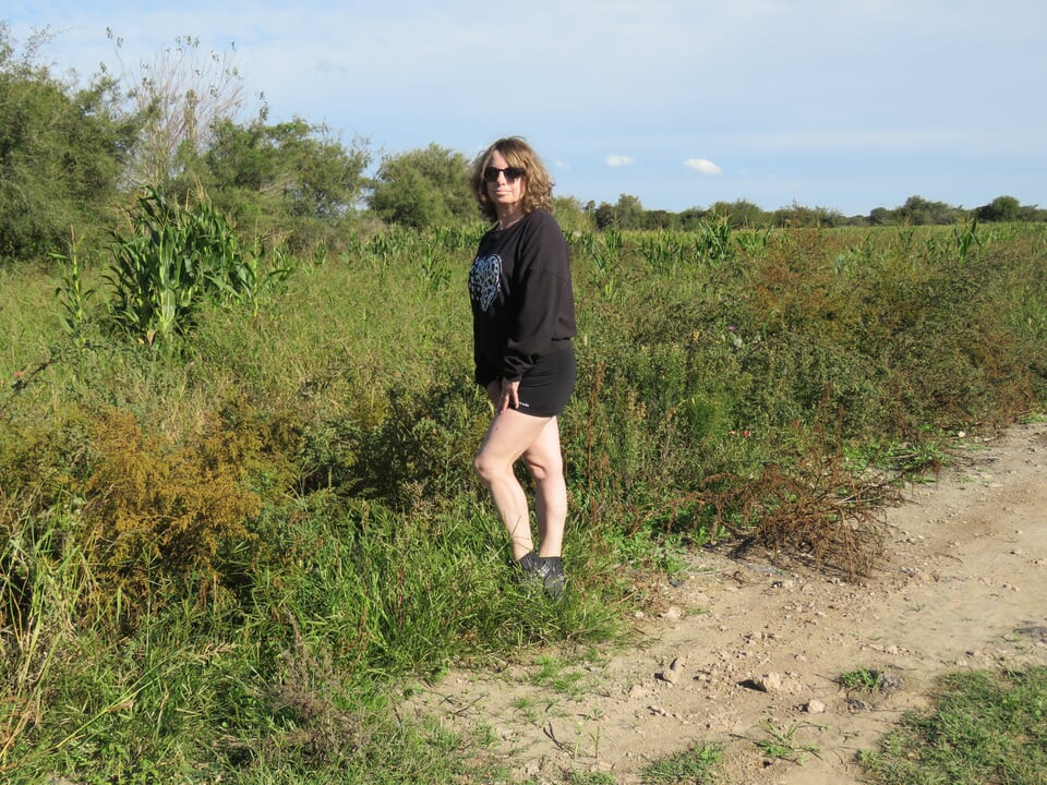 Patricia Corn Field'da