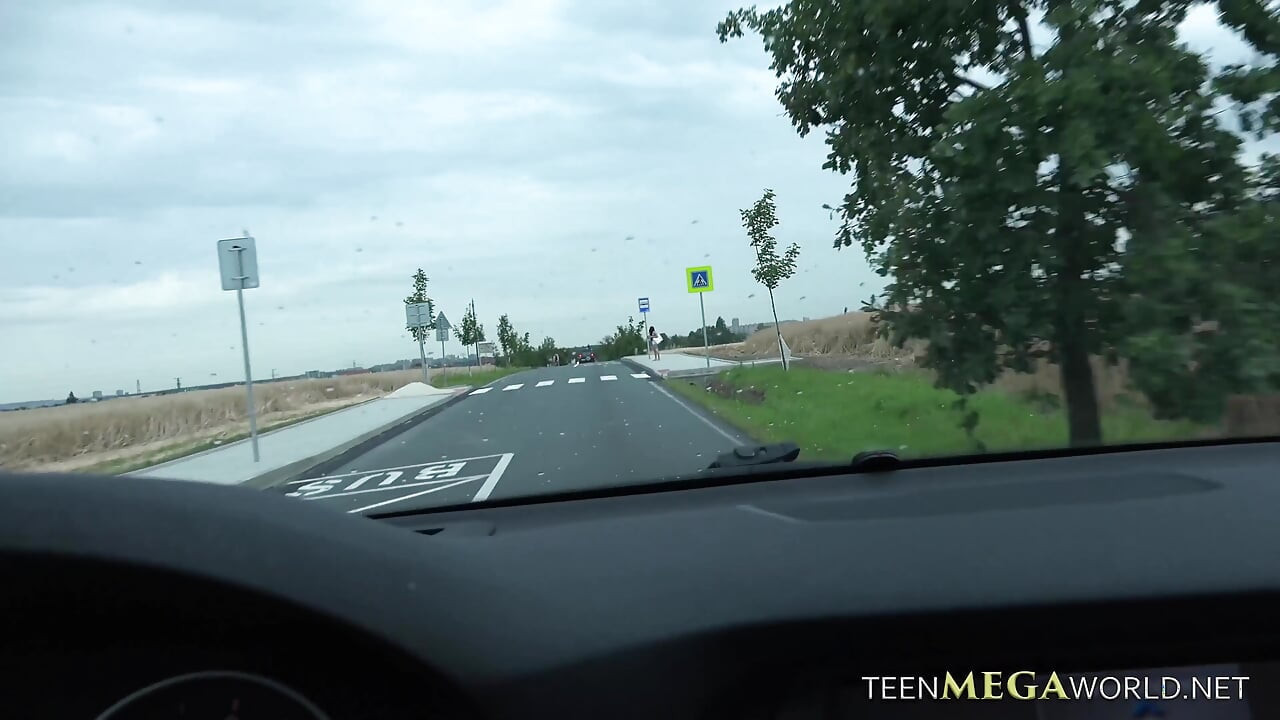 Car fuck