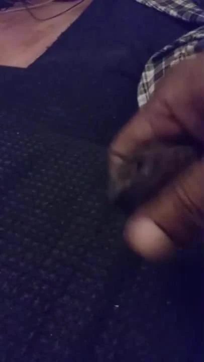 Me trying to get hard