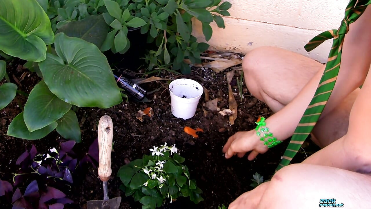 Giving the Plants Some Protein