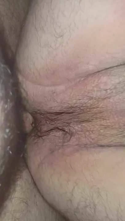 2 mates having fun, Bears