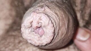 Small wet dick precum