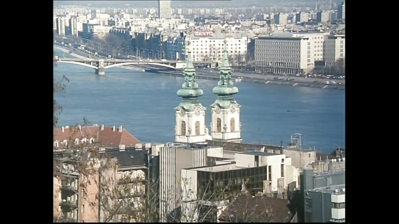 The Pig Sucks Cock(movie)