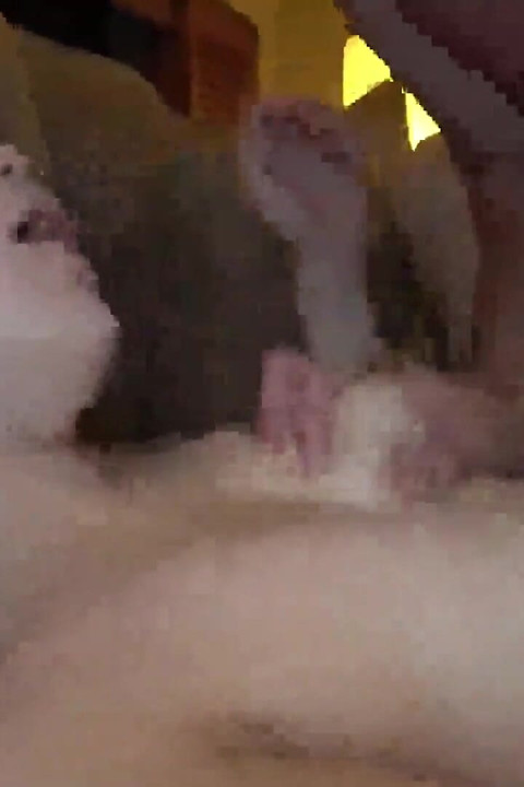 Czy uwierzysz w to? Ona jest pracującym idolem!