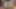 A Girl with Big Tits in a Tank Top Squeezes a Classmate's Penis