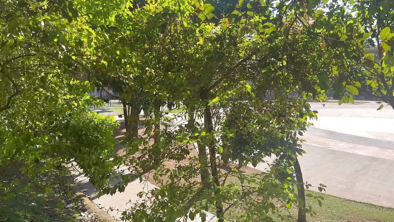 Παίρνω τη γυναίκα μου στο πάρκο για να επιδείξω