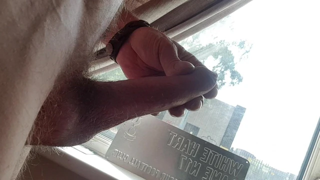 Window wank