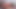 Gorgeous POV babe cocksucking in closeup