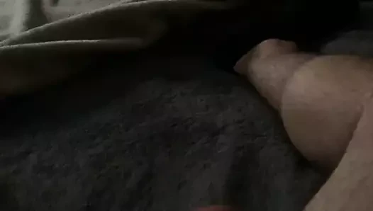 cumming sert