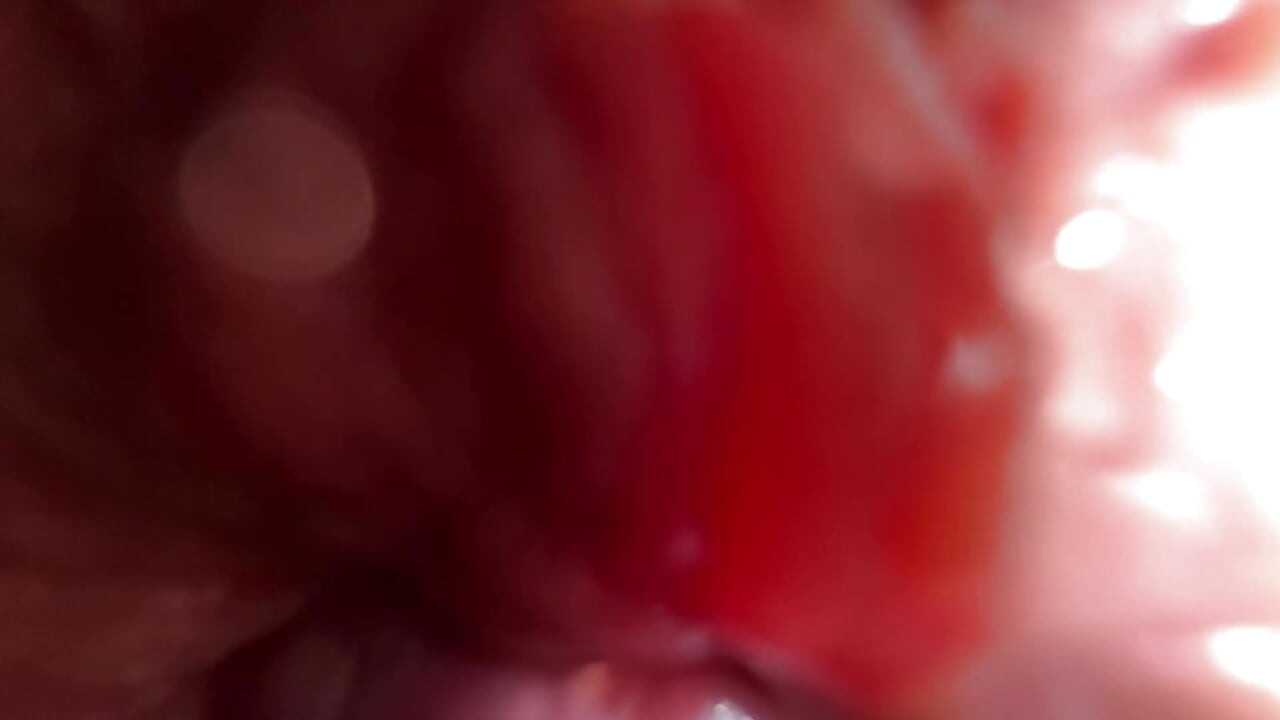 Extremely close up ass worship and talk