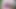 Happy StepFather's Day: Wife and Stepdaughter's Ass Gift and Buttplugs Lead to All-Day Fucking