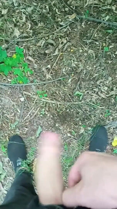 Key moment from "wank cruise. jerking off quickly in the woods until mom sees"