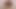毛サラスターにホワイトボックス