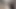 Hard horny and edging this big beautiful cock I need to suck