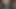 Black ts going crazy sucking big black cock