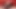 Estimming my cock and balls for a twitching hands free cum