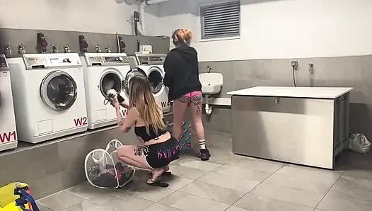 Two Big Dogs in the Laundromat