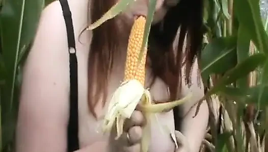 Tammara di ladang jagung