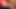 My Tiny Little Dick Is Licking, I Need a Real Big Cock