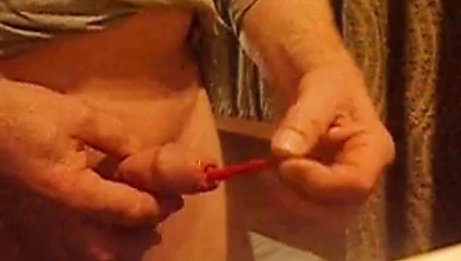 penis sesi