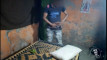 Pregled videozapisa