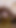 "Alman genç amatör üvey kız yaşlı üvey babası tarafından sikiliyor - mydirtyhobby"